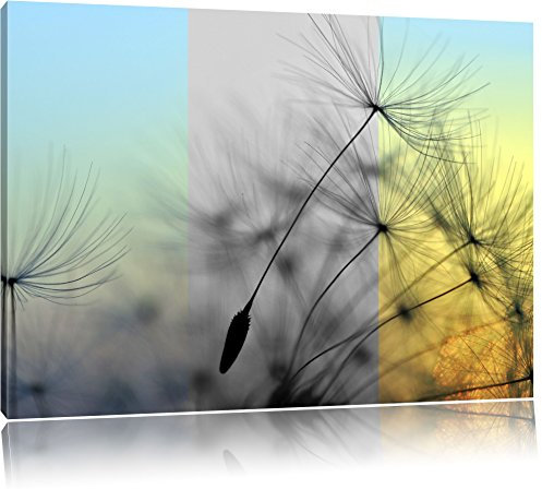 Pixxprint Pusteblumensamen vom Winde verweht B&W, Größe: 100x70cm, Leinwandbild, fertig gespannt, Wandbild, Dekoration, Kunstdruck, kein Poster
