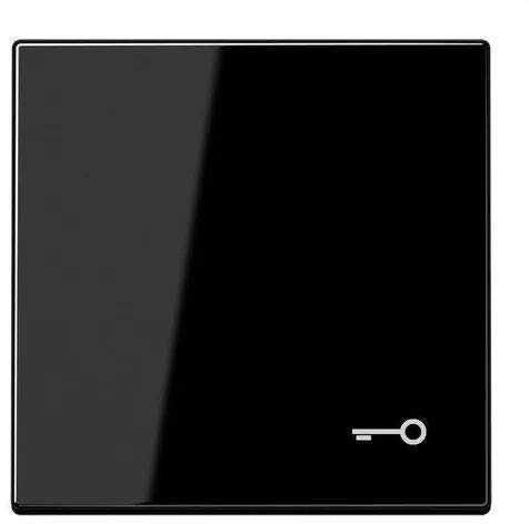 Jung LS990TSW Wippe mit Symbol Tür