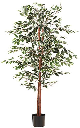 Pure Garden 5 Foot Ficus Artificial Tree, Wood Polyvinyl Chloride, Green, 20x20