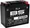BS Battery 300689 btx20l AGM SLA Batería de moto, color negro