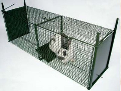 Kieferle Marderfalle Iltis Katze Falle Gitterfalle Lebendfalle Mod. Gallier 1