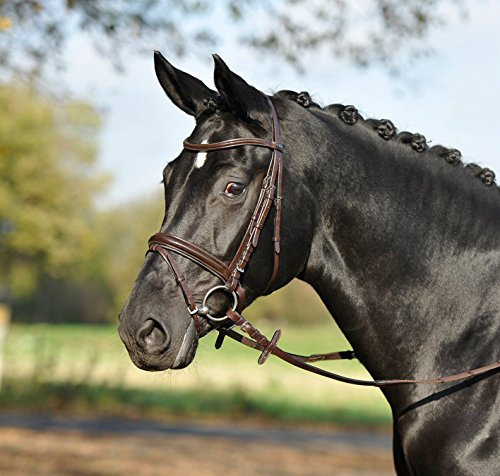 BUSSE Trense GLAMOUR, schwarz/Kristall-Lack, Vollblut