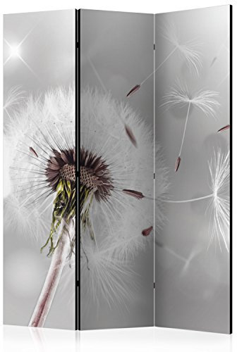 RAUMTEILER/PARAVENT B&D XXL - Paravent Raumteiler Innen Pusteblume 135x172 cm 3-teilig Einseitig Raumtrenner Raum Trennwand Holz Room Divider Spanische Wand Raum Abtrennung grau b-C-0072-z-b