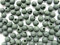 Phoxinus Impact Beads/Shock Beads - 6mm - Green - 100 pack