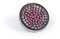 Pavo Real Limited Relleno Star pink Black 470