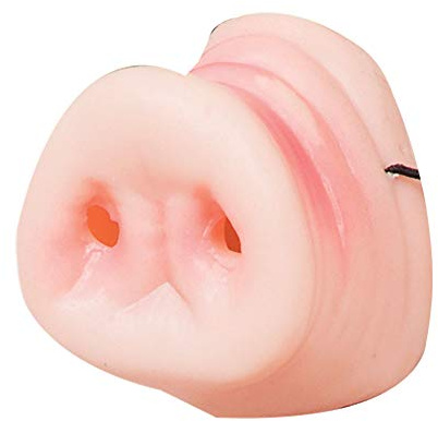 Bristol Novelty - Masque faux nez de cochon (Taille unique) (Rose)