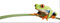 artissimo, Glasbild, 80x30cm, AG1968A, Little Frog, Frosch, grün, Bild aus Glas, moderne Wanddekoration aus Glas, Wandbild Wohnzimmer modern