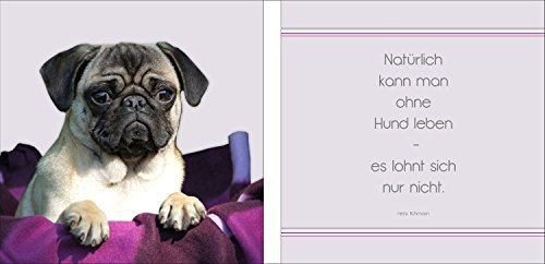 Pro Art glaset2d826827 Collection Mix & Match Ohne Hund Leben Lot de 2 Impressions sous Verre 20 x 20 cm