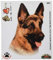 4R Quattroerre.it 8001 Sticker Aufkleber Hund Deutscher Schäferhund, 13.5 x 16 cm