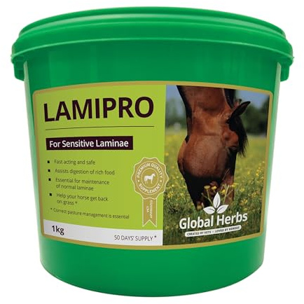 Global Herbs LamiPro Equine Advanced Laminitis & Metabolic Support Powder 1kg