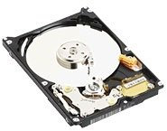 Western Digital WD800BEVE Scorpio - Hard Disk 80.0 GB 12.0 ms U-ATA / 100 8.0 MB