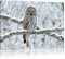 Pixxprint Eule auf Ast, Bild, Größe: 60x40cm, Leinwandbild, fertig gespannt, Wandbild, Dekoration, Kunstdruck, kein Poster