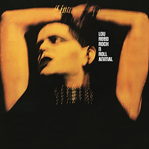Rock'N Roll Animal [Vinyl LP]
