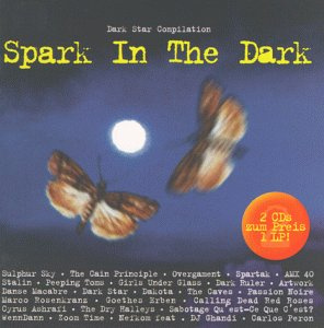 Spark in the Dark(Docd)