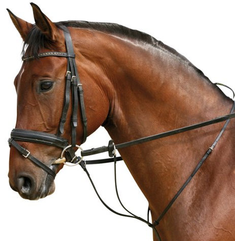 PFIFF ausiliario Redini Martingal