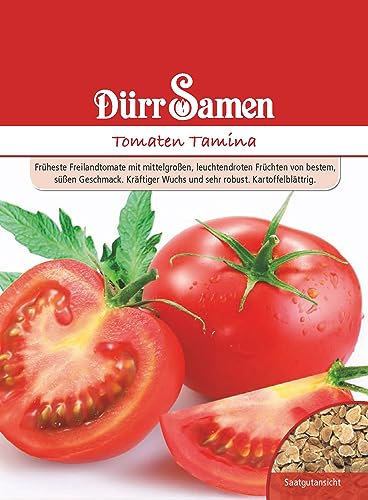 Tomaten Samen Tamina Rote Tomate Tomatensamen ca 80 Korn Saatgut Robust Ertragreich Garten Hochbeet Kübel Dürr Samen