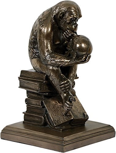 Affe mit Schädel bronziert Darwins Schädel Figur Sammelfigur