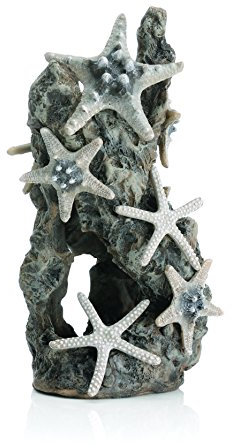 biOrb 46132 Seesternfelsen Ornament - Aquariumdekoration, Einrichtung von Süßwasser und Meerwasseraquarien, künstlicher Felsen als Versteck oder Höhle tierische Bewohner