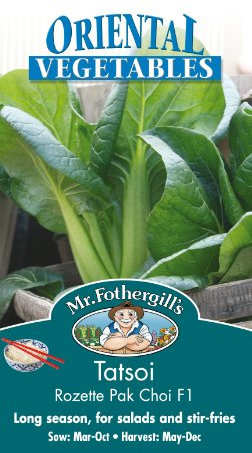 Mr Fothergill's 19706 Vegetable Seeds, TATSOI Rozette Pak Choi F1