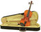 DIMAVERY Violine 4/4 mit Bogen, im Case