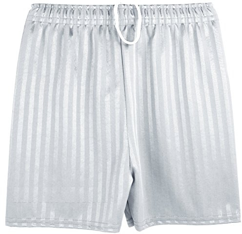 Mens Shadow Stripe Gym Sports Football Games School PE Shorts (Small, White)