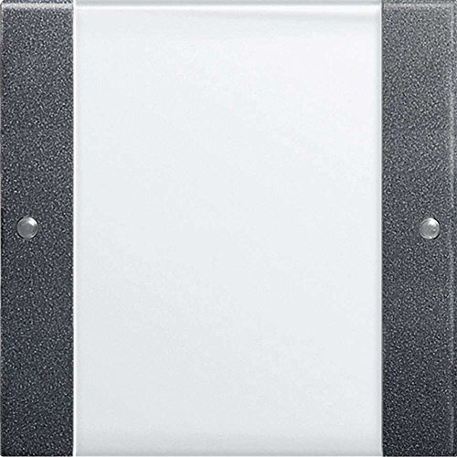 Gira 213128 Wippenset 1-Fach Beschriftungsfeld System 55 klar, anthrazit
