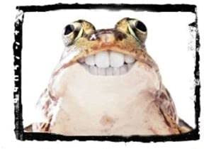 refPIDFROG Geburtstagskarte mit Frosch/Kröte, Smile, A5