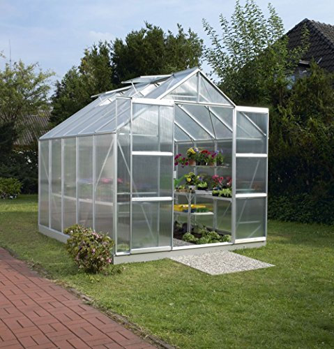Vitavia Gewächshaus Uranus - Ausführung:8300 HKP 4 mm Alu, Fläche:ca. 8,3 m², Fenster:4, Maße:257 x 321 cm, Sockel:255 x 317 cm,