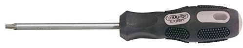 Draper 40053 Expert Tx-Star T25 Screwdriver, 100mm