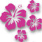 Mixed Set HIBSIKUS Blüten, 4 Stück Pinke Autoaufkleber Blumen Sticker Outdoor, Wandtattoo & Fensterbild Hibiscus Hawaii
