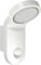 ESYLUX LED-Leuchte 14 W mit Bewegungsmelder, 140 Grad, 5000 K, Aluminiumdruckguss und Kunststoff, AOl 100LED 5 K, weiß, 2386877