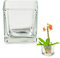 12 x stilvolle und Massive Glaswürfel als Windlicht für Teelichter 6 x 6 x 6 cm - auch als Vorspeisengläser Dessertgläser oder Vase einsetzbar