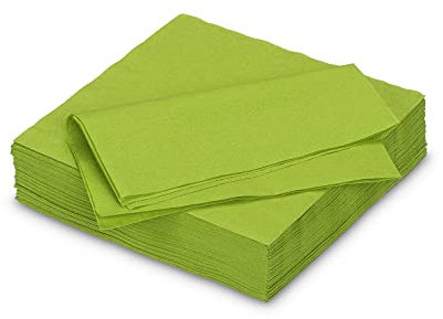 Servietten aus Papier 33x33cm 50 Stück - FARBAUSWAHL in 25x25/33x33/40x40cm - Einweg Tischservietten 2-lagig - Einfarbige Papierservietten für Hochzeit, Geburtstag und Alltag - Lindgrün