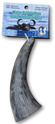 QT Dog Large Water Buffalo Horn - Long-Lasting 100% All-Natural Dog Chew, Ethically Sourced Protein-Packed & Low Fat Dental Chews, Ideal for All Breeds & Aggressive Chewers