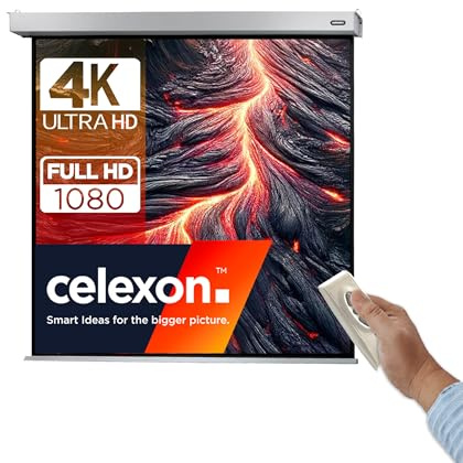celexon pantalla motorizada incluido mando a distancia para escuela, proyección, presentación y cine en casa Profesional Plus - 240 x 240 cm - 1:1
