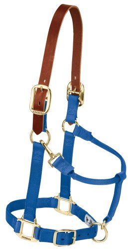 Weaver Leather Sicherheits-Halfter für Pferde aus Nylon, verstellbar, Größe S, Blau