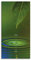 ARTland Wanddeko Glasbilder Wandbild Glas Bild einteilig 30x60 cm Hochformat Natur See Pflanzen Bäume Wassertropfen Blätter T5TK