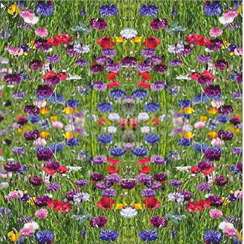 20 Servietten Flower Field - Buntes Blumenfeld/Blumen/Wiese/Natur 33x33cm