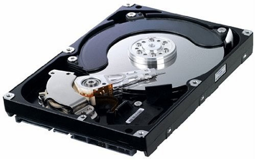 Samsung HD502HI EcoGreen F2 500 GB 8,9 cm (3,5 Zoll) interne Festplatte SATA II 5400RPM 16MB Cache