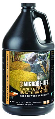 Microbe-Lift Concentrated Barley Straw Extract Conditioner for Ponds – 1 Gallon – Safe for Koi Fish, Plants & Decorations – Natural Pond Conditioner, Cost-Efficient & Organic Solution
