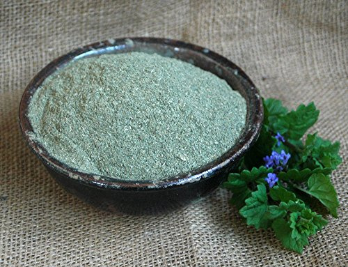 Naturix24 – Gundermannkraut gemahlen – 100 g Aromaschutzbeutel