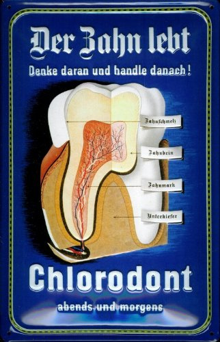 Buddel-Bini Versand Blechschild Nostalgieschild Chlorodont der Zahn lebt Zahnpasta Grafik DDR VEB Leowerke Schild Retro Werbeschild Ostalgie Ostprodukt Deko Schild