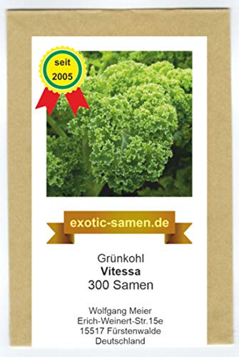 Grünkohl - Vitessa - niedrig wachsend - 300 Samen