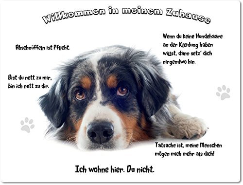 Merchandise for Fans Blechschild/Warnschild/Türschild - Aluminium - 20x30cm - - Willkommen in Meinem Zuhause - Motiv: Australian Shepherd liegend nachdenklich- 07