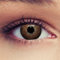 DESIGNLENSES, Natürlich wirkende Kontaktlinsen mit oder ohne Stärke Dimension Hazel Haselnussbraun farbige Kontaktlinsen braun 1 Paar (2St.),Tragedauer 3 Monate + Gratis Behälter (-1,00)