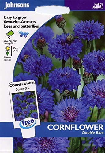 johnsons seeds - Pictorial Pack - Fiore - Fiordaliso Double Blu - 250 Semi