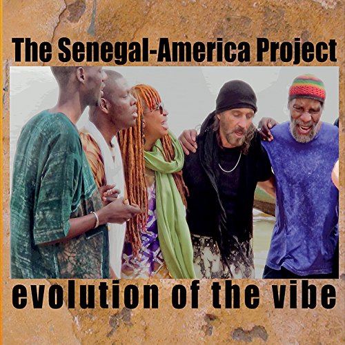 Evolution of the Vibe