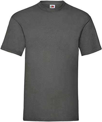 Fruit of the Loom Men's Short Sleeve T-Shirt - grey - X-Large