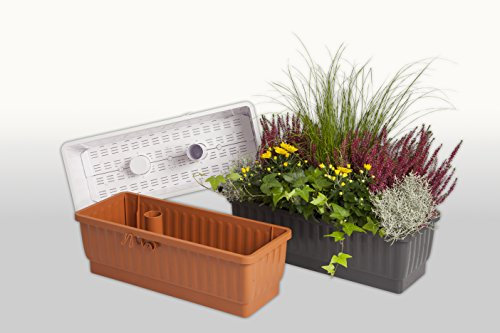 Fioriera 80cm Colore Terracotta