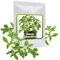 STEVIA SAMEN ca. 100 Stück/Pack - Süßkraut/Honigkraut